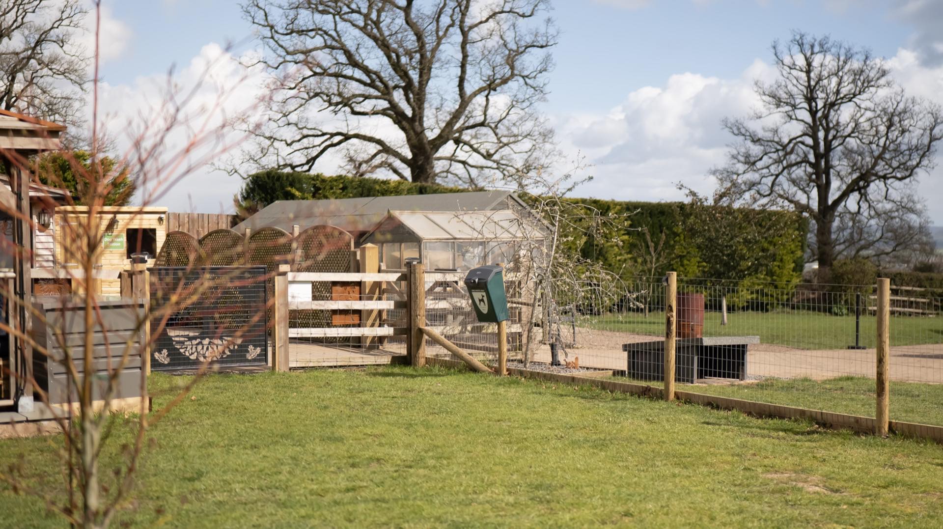Fenced grass exercise area with wooden post-and-wire fencing and a greenhouse behind